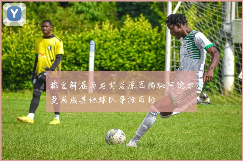 掘金解雇马龙背后原因揭秘阿德尔曼或成其他球队争抢目标