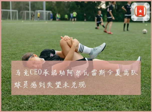 马竞CEO承诺助阿尔瓦雷斯今夏离队球员感到失望未兑现