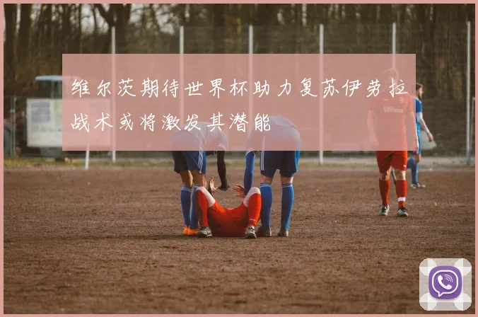 维尔茨期待世界杯助力复苏伊劳拉战术或将激发其潜能