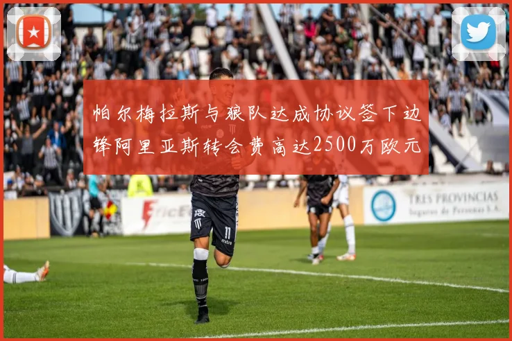 帕尔梅拉斯与狼队达成协议签下边锋阿里亚斯转会费高达2500万欧元